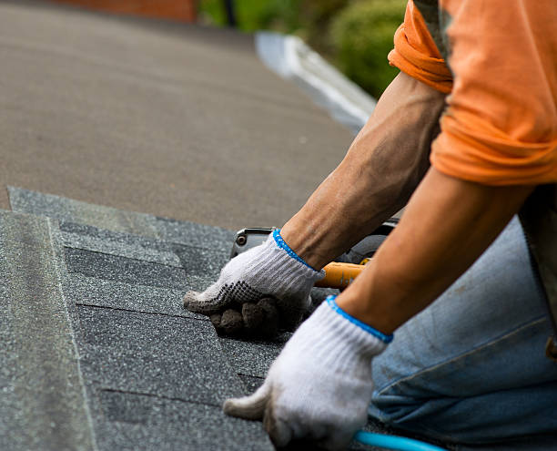 Best Roof Repair Services  in Storrs, CT